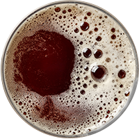 https://stronabrowaru.pl/wp-content/uploads/2017/05/beer_transparent_02.png
