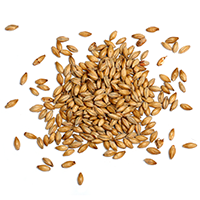 ingredients_transparent_03 https://stronabrowaru.pl/wp-content/uploads/2017/05/ingredients_transparent_03.png